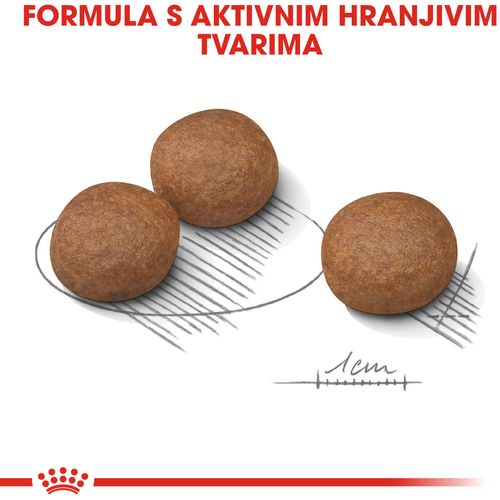 ROYAL CANIN CCN Medium Digestive, potpuna hrana za odrasle i starije pse srednje velikih pasmina (od 11 do 25 kg) - Stariji od 12 mjeseci - Psi skloni probavnim osjetljivostima, 3 kg slika 9