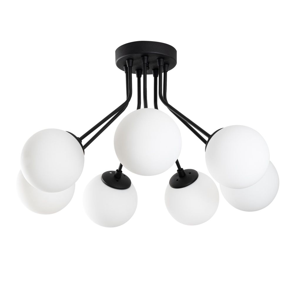 Orıon - Crni Luster 13966 slika 4