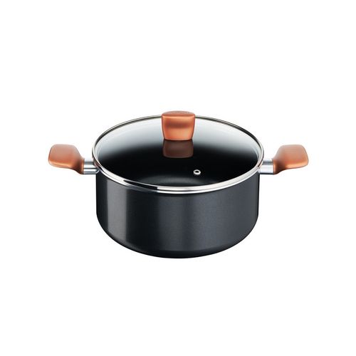 Tefal Lonac Express sa poklopcem 24 cm - B2554602 slika 1