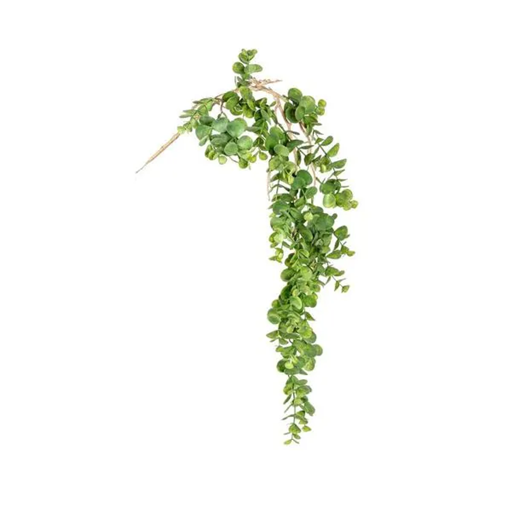 Bizzotto Dekorativna viseća biljka Dischidia zelena 92 cm slika 1