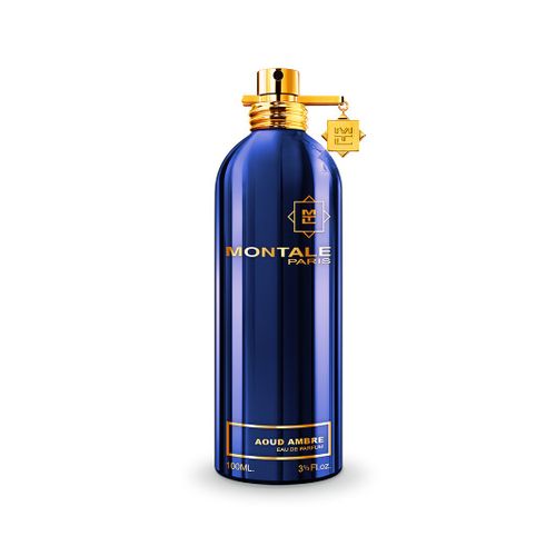 Montale Paris Aoud Ambre EDP 100 ml  slika 1