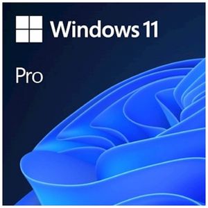 Microsoft Windows 11 Pro FPP, slovenska verzija, USB