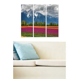 Dekorativna Slika od MDF-a u Više Boja (Set od 3 Komada) - MDF1043142