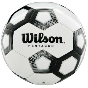 Wilson Lopta Pentagon SB BL Unisex