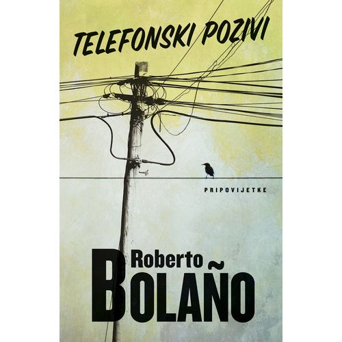 Telefonski pozivi, Roberto Bolaño slika 1