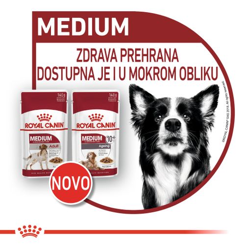 ROYAL CANIN SHN Medium ageing 10+ vrećice za pse, potpuna hrana za starije pse srednje velikih pasmina (od 11 do 25 kg), stariji od 10 godina, 10x140 g slika 2