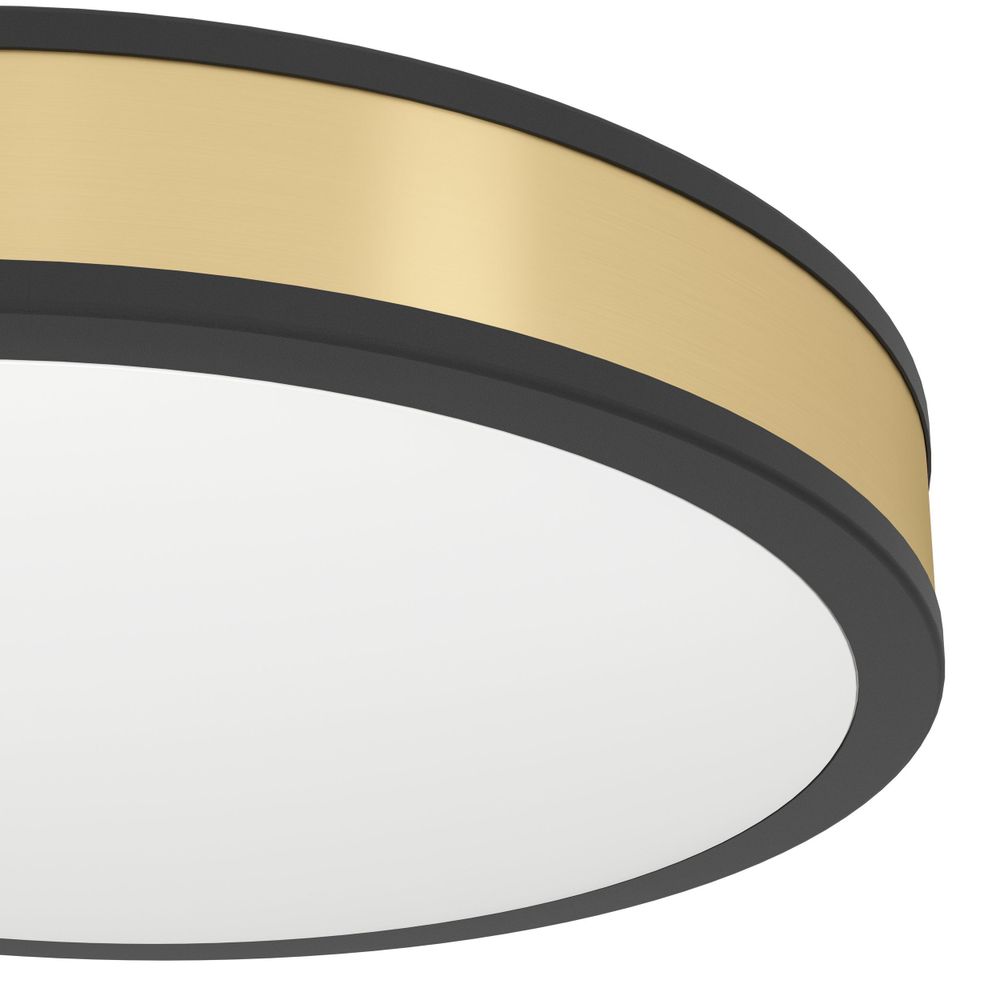 Eglo Pescaito zidna/stropna LED lampa, 24W, 2500lm, promjer 380mm, crna/zlatna/čelik slika 4