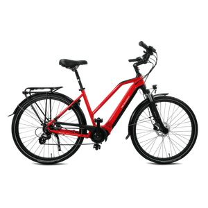 MS ENERGY eBike c500_size M