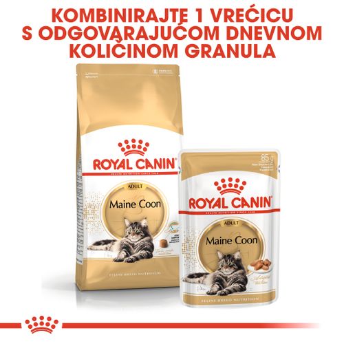 ROYAL CANIN FBN Maine Coon, potpuna i uravnotežena hrana za mačke, specijalno za odrasle mačke pasmine Maine Coon starije od 15 mjeseci, 4 kg slika 2