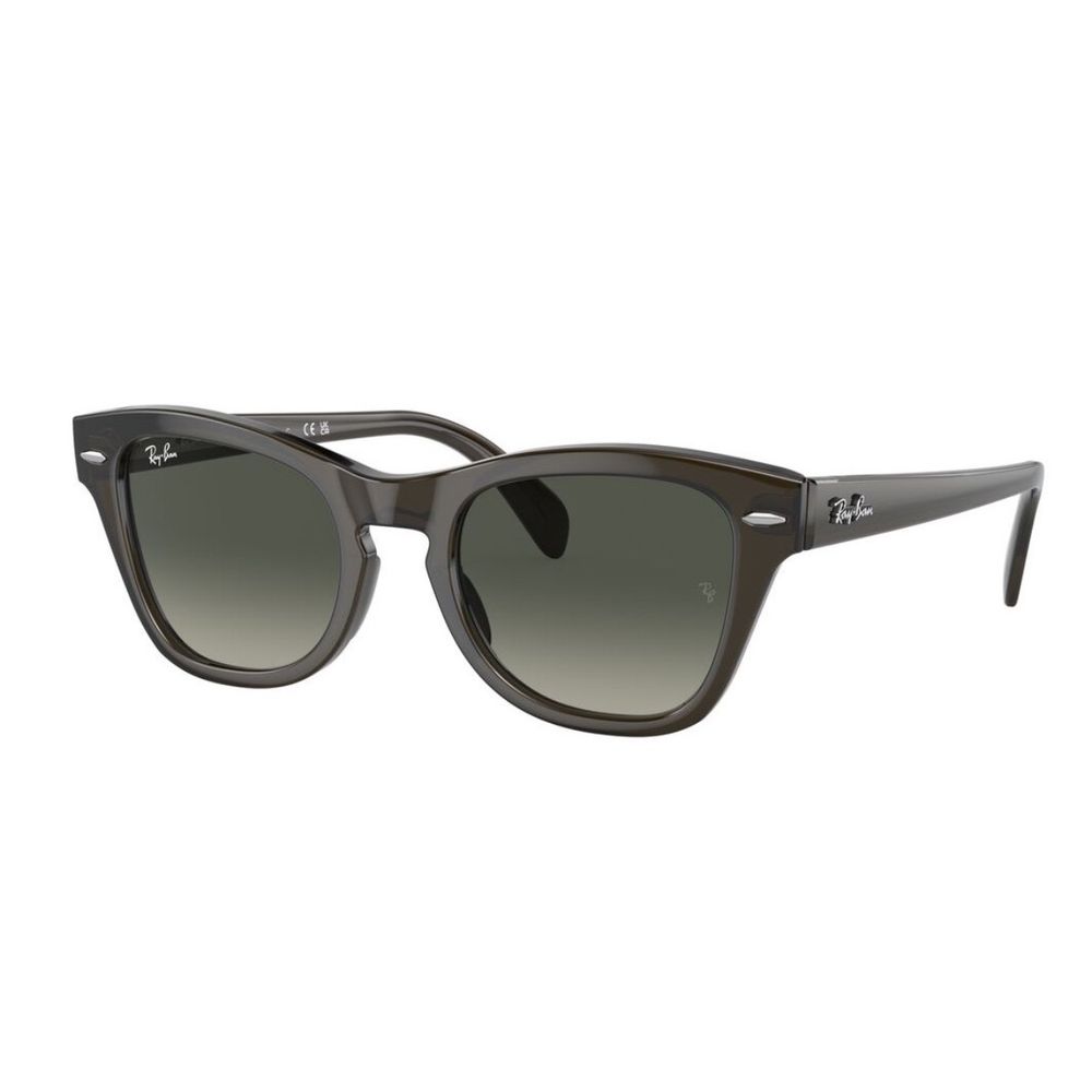 Unisex Sunčane naočale Ray Ban RB0707S 53 Brown slika 2