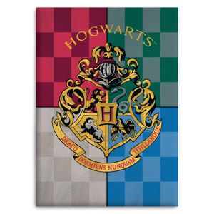 Harry Potter Hogwarts dječja dekica 100x140cm