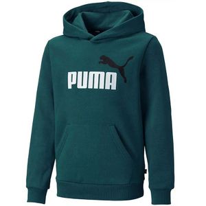 Puma Duks Puma Ess+ 2 Col Big Logo Hoodie Fl B Za Dečake