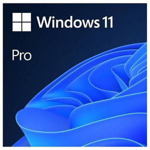 Software GGK Win.11Pro 64Bit Eng Int/ DVD/1 PC(4YR-00316)