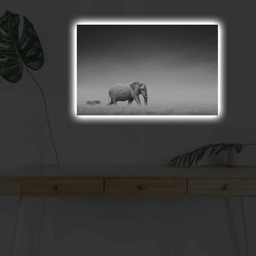 Wallity Slika dekorativna platno sa LED rasvjetom, 4570DHDACT-099 slika 1