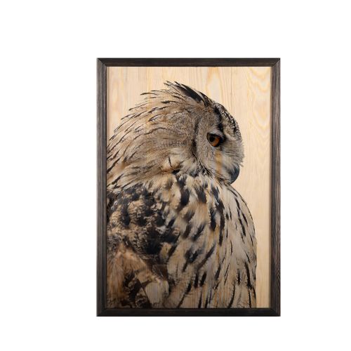 Wallity Drvena uokvirena slika, Owl slika 2