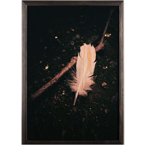 Wallity Drvena uokvirena slika, White Feather XL slika 2