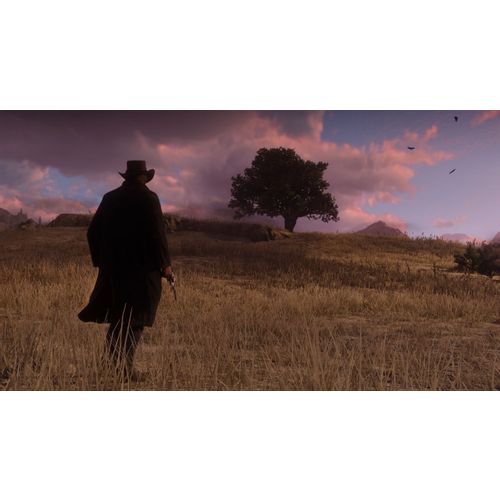 Red Dead Redemption 2 za Xbox One slika 10