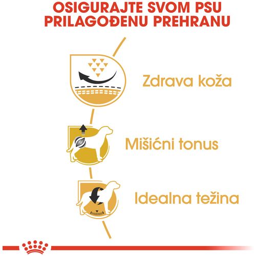 ROYAL CANIN BHN Mops Adult, otpuna hrana specijalno prilagođe na potrebama odraslih i starijih mopseva, 3 kg slika 6