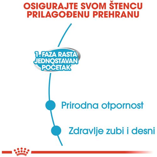 ROYAL CANIN SHN Starter Mousse, potpuna hrana za pse, namijenjena je štencima za odvikavanje od sisanja sve do kraja 2. mjeseca života te kujama tijekom zadnje trećine graviditeta i tijekom laktacije, 12x195 g slika 6