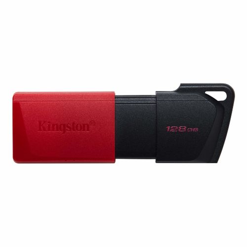 FlashDrive 128GB Kingston DTXM/128GB USB3.2 slika 1