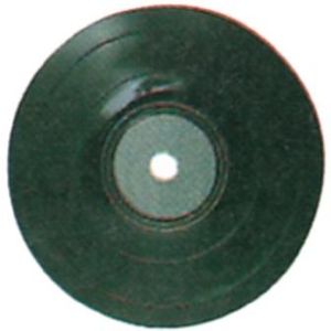 Disk za brušenje od vlaknastog materijala 125mm P-05898