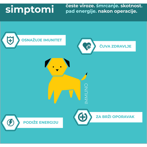 Apipet Immuno, dodatak prehrani za pse, za jačanje imuniteta, 60 kapsula slika 2