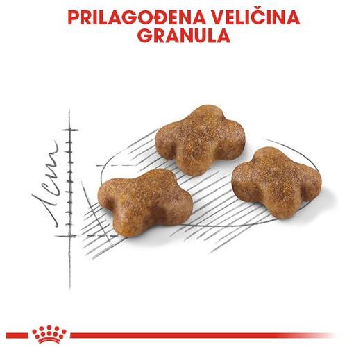 Royal Canin hrana za mačke Kitten 400g slika 5