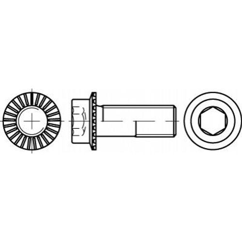 TOOLCRAFT TO-5444439 vijak s šesterokutnom glavom M10 30 mm unutarnji šesterostrani 88912 200 St. slika 1