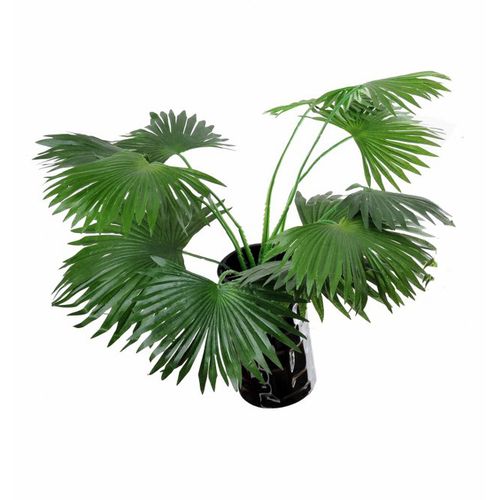 Lilum veštački buket palme 50 cm DDY136925 - set 2 kom slika 1