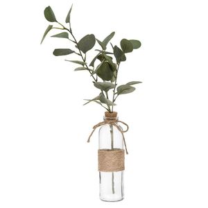 Atmosphera dekorativna biljka eucalyptus sa vazom