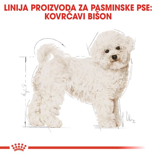 ROYAL CANIN BHN Bichon Frise Adult, potpuna hrana za odrasle pse pasmine Bishon Frise (starije od 10 mjeseci), 1,5 kg  slika 4