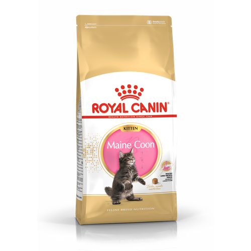 ROYAL CANIN FBN Maine Coon KITTEN, potpuna i uravnotežena hrana za mačke, specijalno za mačiće pasmine Maine Coon do 15 mjeseci starosti, 2 kg slika 1