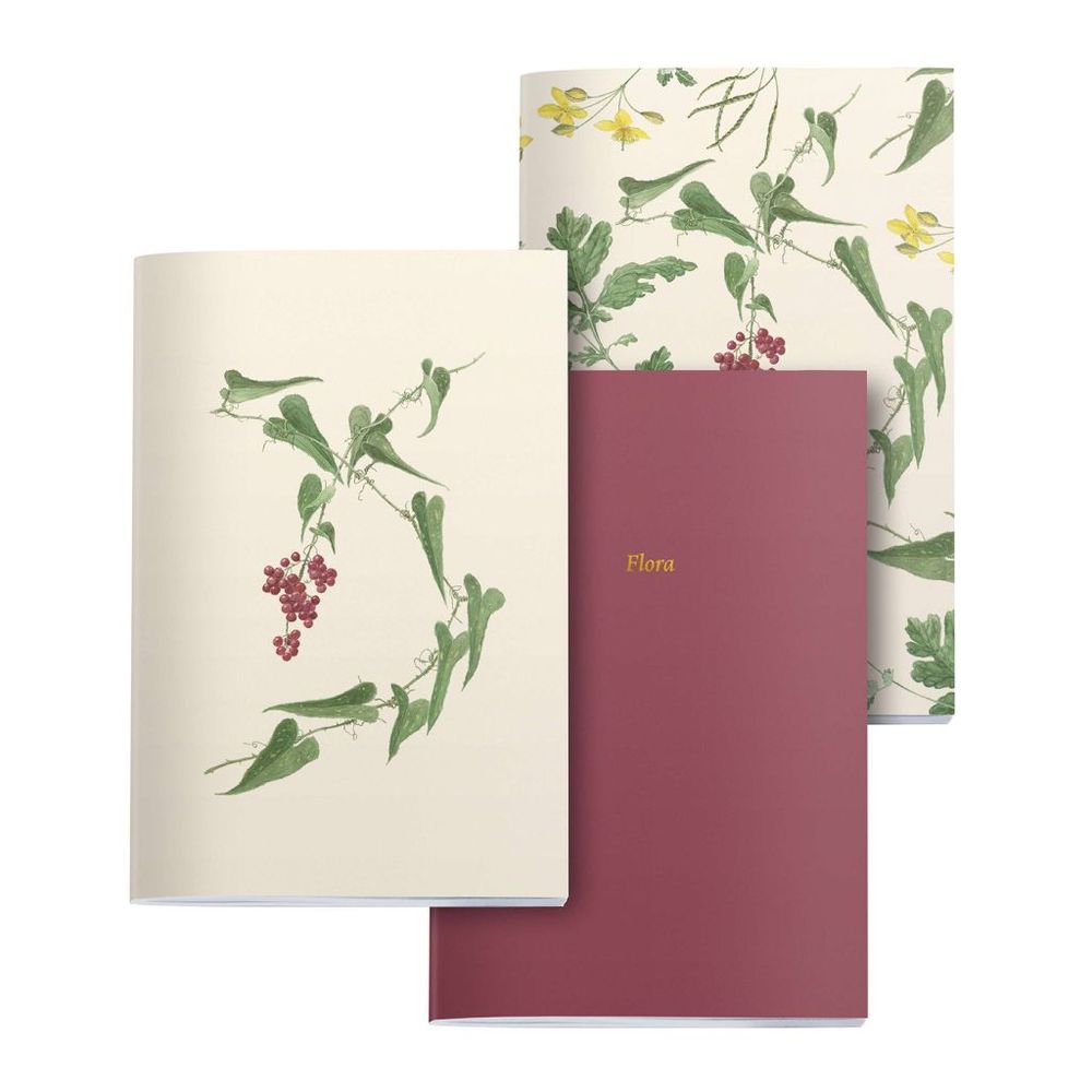 Set bilježnica Miquelrius 142x210 mm Botanical Flora Šivane (crte, čista, točkice) 3/1 MR8326 slika 5