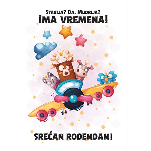 (VK 126) Srećan rođendan -Starija? Da. Mudriji? - Avion slika 1