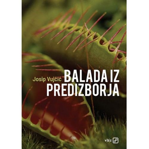 Balada iz predizborja  slika 1