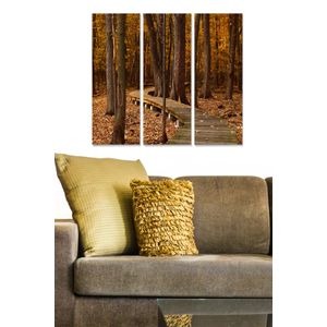 Dekorativna Slika od MDF-a u Više Boja (Set od 3 Komada) - MDF1432252