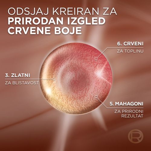 L'Oreal Paris Excellence Universal Nudes boja za kosu 5UR slika 5