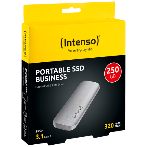 (Intenso) Eksterni SSD, kapacitet 250GB, USB 3.1 - SSD External 250GB/Business slika 1