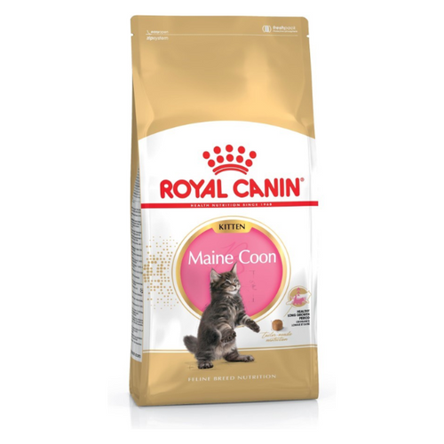 Royal Canin Mainecoon Kitten 2 kg slika 1