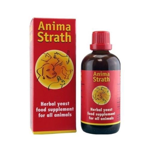 Anima Strath sirup za imunitet i apetit 100ml slika 1