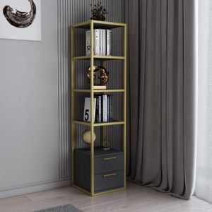 Robbins - Gold, Anthracite Gold
Anthracite Bookshelf