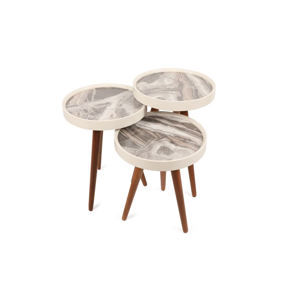 Neep White
Walnut
Grey Nesting Table (3 Pieces) slika 2