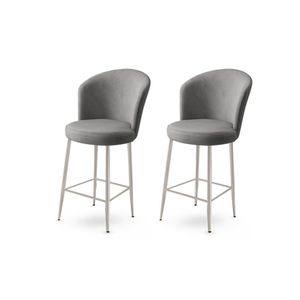 Fora - Sivi, Hrom Sivi Bar Stolica Set (2 Komada)