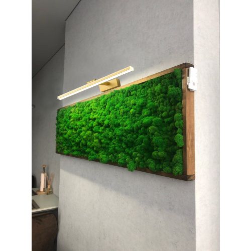 LED Gold 40cm zidna svjetiljka APP833-1W slika 3