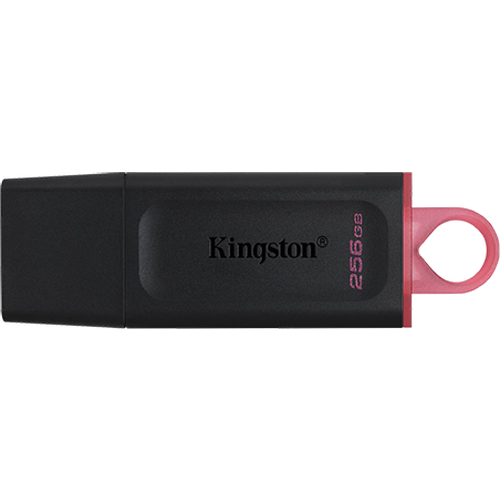 FlashDrive 256GB Kingston DTX/256GB USB3.2 slika 1