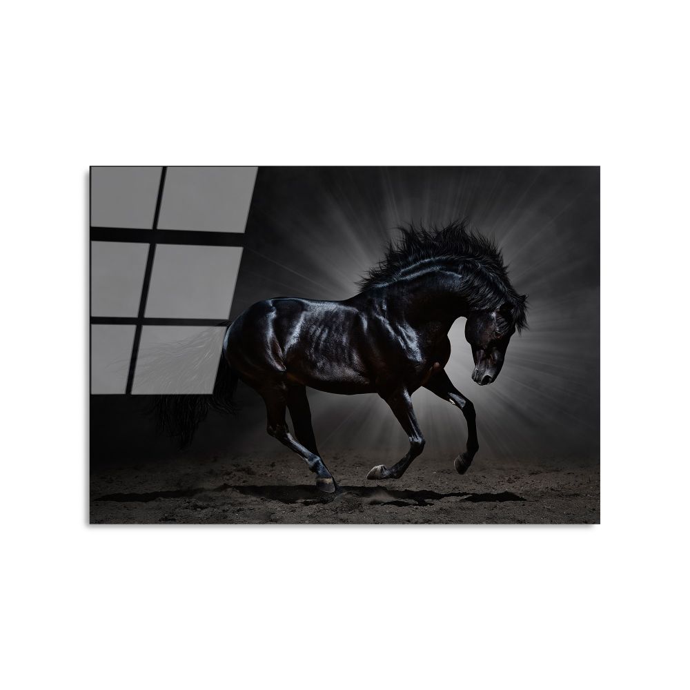 Dekorativna Slika na Kaljenom Staklu UV-272, 50 x 70 cm, Višebojna slika 5