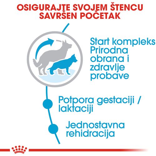 ROYAL CANIN SHN Maxi Starter, potpuna hrana za pse, specijalno za kuje  velikih pasmina (26-44 kg) i njihove štence, 15 kg slika 6