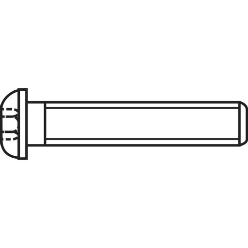 TOOLCRAFT 839799 vijak s lećastom glavom M4 10 mm unutarnji šesterostrani nehrđajući čelik A2 100 St. slika 1