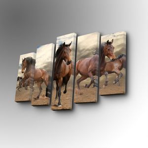 5PUC-139 Multicolor Decorative Canvas Painting (5 Pieces)