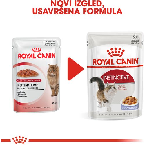 ROYAL CANIN FHN Instinctive Jelly, potpuna hrana u vrećici za  odrasle mačke, u želeu, 12x85 g slika 2